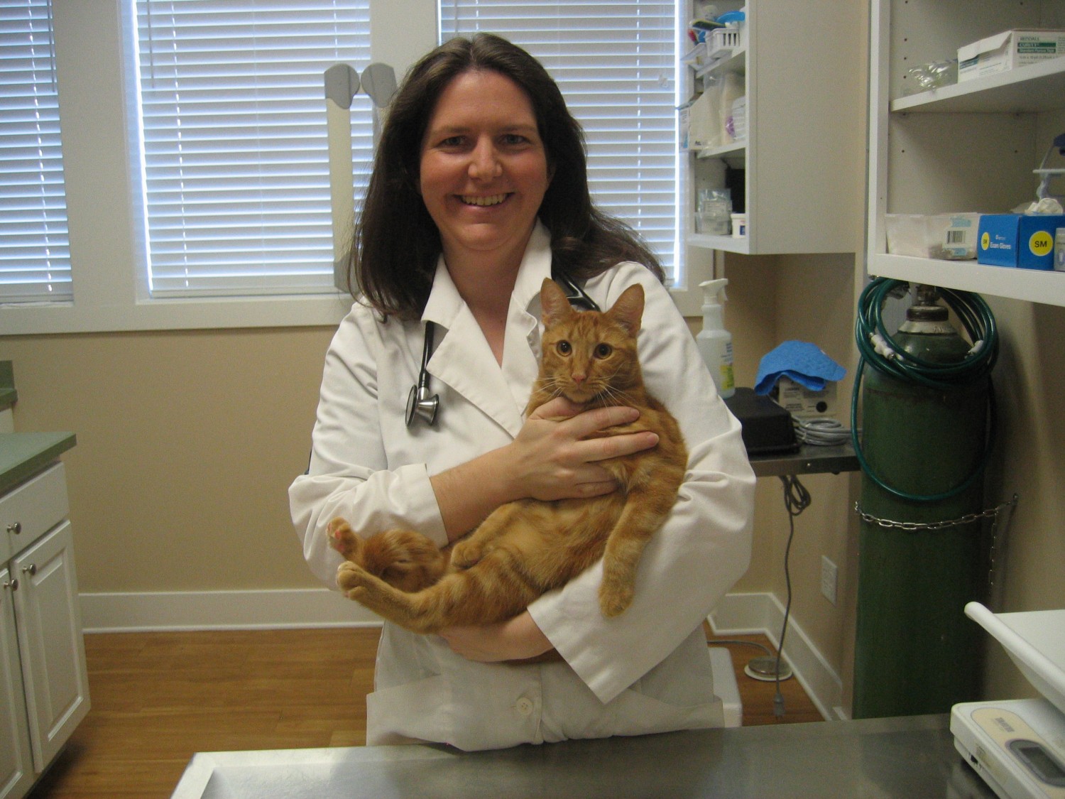 Our Doctor Cat Clinic of Fernandina Fernandina Beach, FL