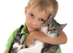 Child holding cat